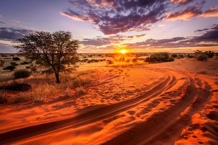 Met Thema Travel naar Namibie
